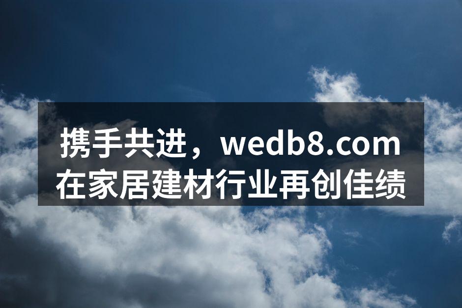 携手共进，wedb8.com在家居建材行业再创佳绩